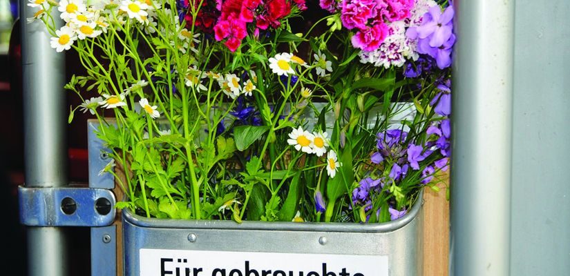 Tram Blumen – © Heinz Taubmann - Weis(s)er Stadtvogel